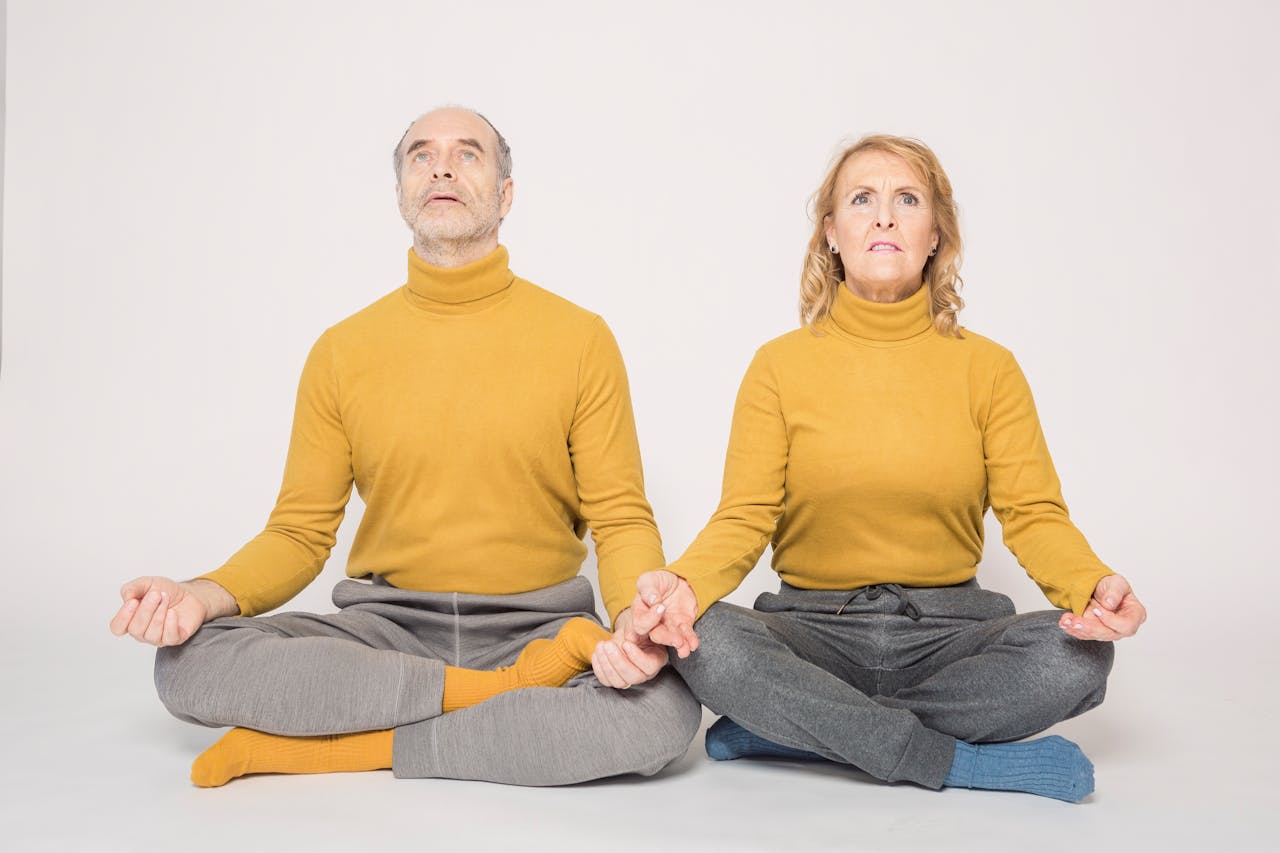 Zernovastia történet